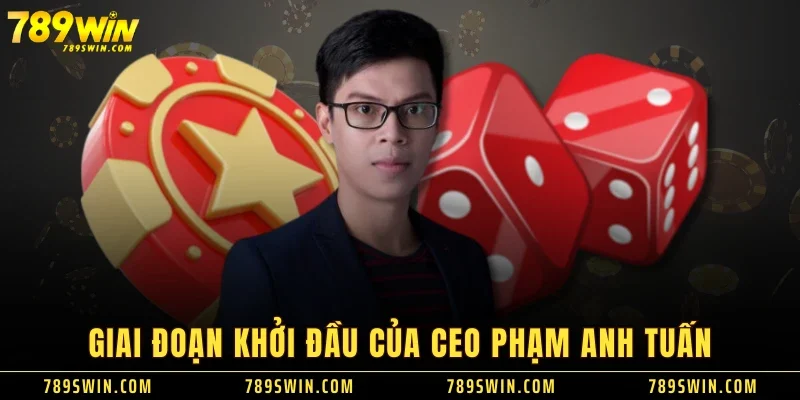 Giai đoạn khởi đầu của CEO Phạm Anh Tuấn